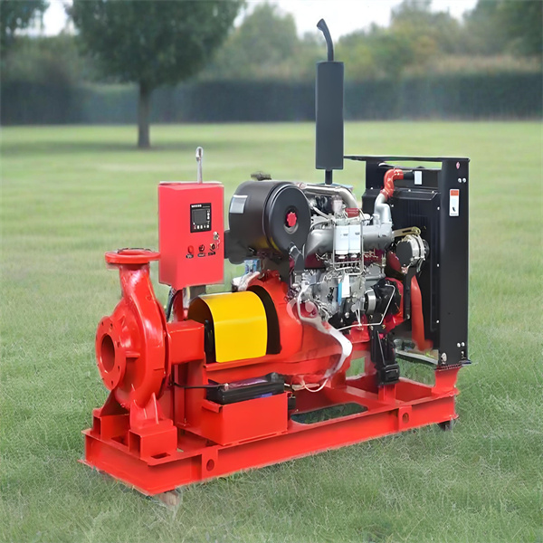 Keeping Communities Safe in Times of Crisis