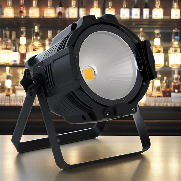 The Versatile and Efficient Lighting Solution