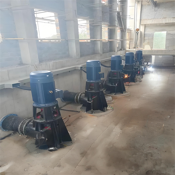 Choosing the right vertical axial pump for your specific needs